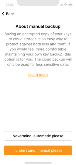 Screen describing how manual backup differs, with an option to proceed or go back.